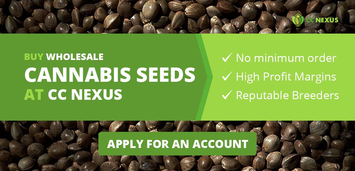 Buy wholesale cannabis seeds